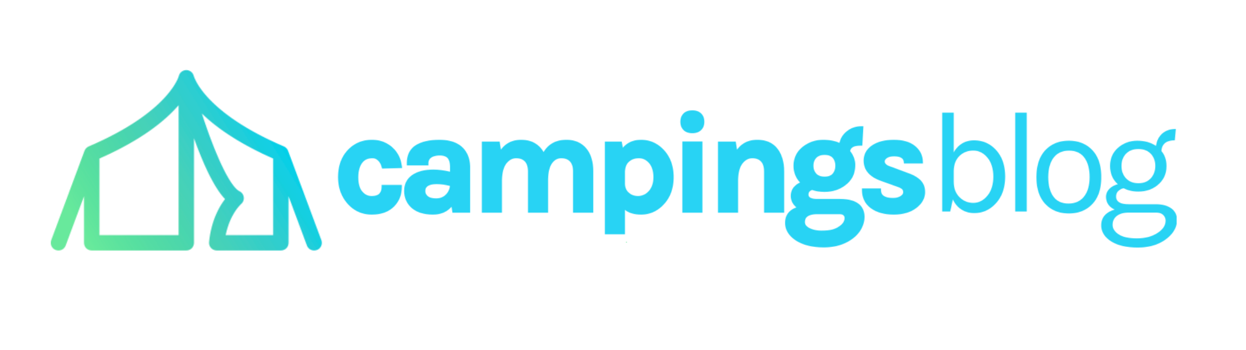 Blog Campingscat
