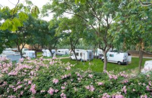 Càmpings Catalunya tarifa pernocta o tarifa sleep and go tarifa pernocta campings catalunya