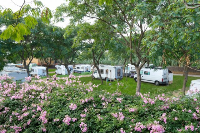 tarifa pernocta campings catalunya