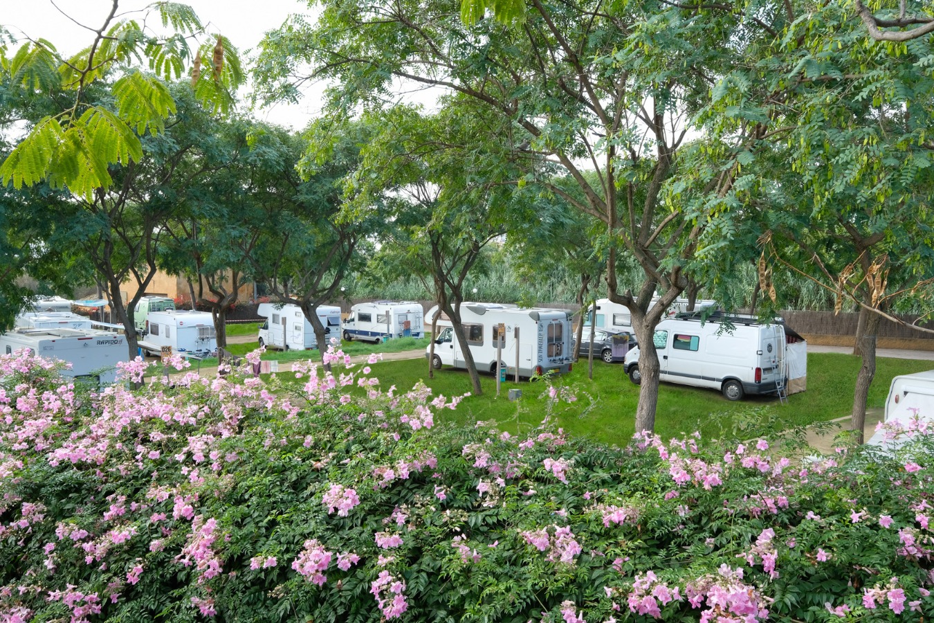 tarifa pernocta campings catalunya