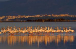 Terres de l’Ebre, un destino de naturaleza para disfrutar en familia