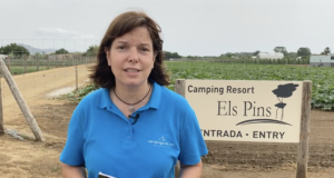 Camping SUMMER | Camping Els Pins