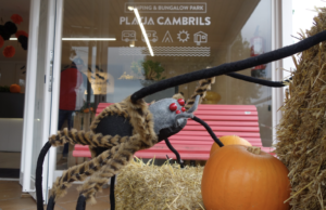 Els millors càmpings per gaudir del Halloween a Catalunya