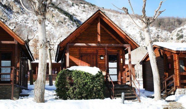 Nou-Camping_La-Guingueta campings on celebrar cap d'any