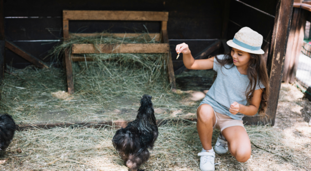 CampingsCat_Blog_(1410 x 776 px) Llistat_campings_granja_hort