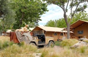 10 càmpings de luxe a Catalunya