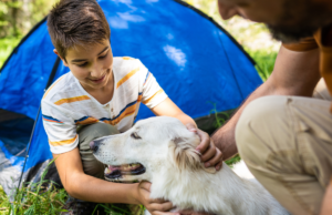 Llistat de càmpings pet friendly de Catalunya