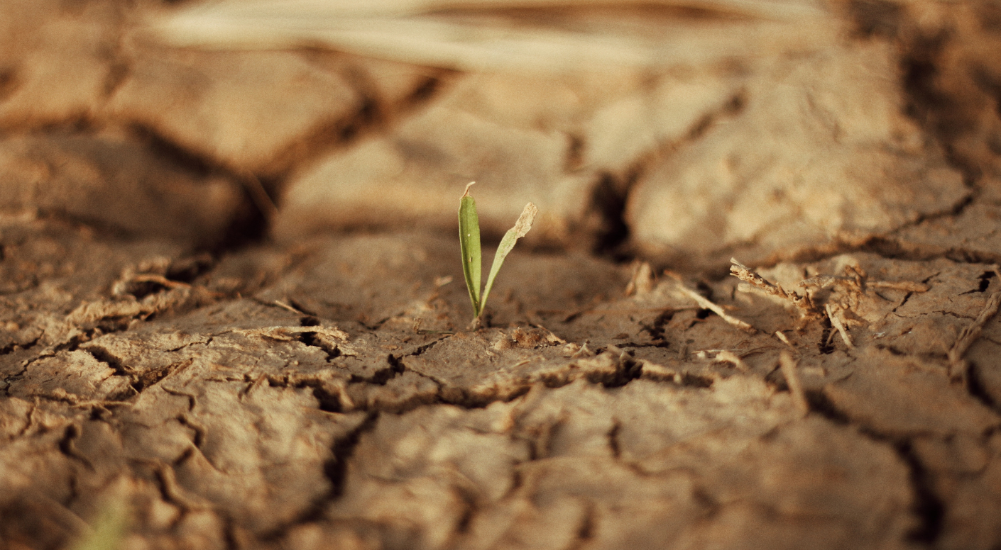 situacio alerta campings catalunya