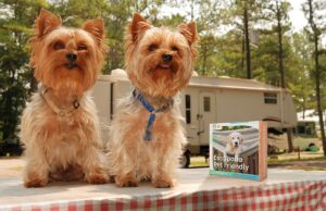 Nova Campingsbox Pet Friendly