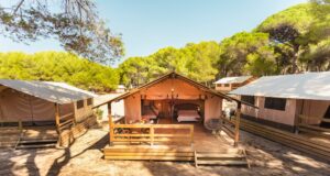 Càmping Las Palmeras, naturalesa, platja i diversió a la Costa Daurada.