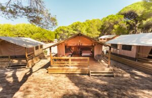 Càmping Las Palmeras, naturalesa, platja i diversió a la Costa Daurada.