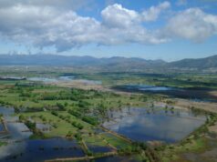 Descobreix el Parc Natural Aiguamolls de l’Empordà de Càmping!