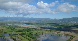 Descobreix el Parc Natural Aiguamolls de l’Empordà de Càmping!