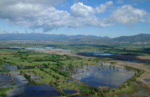 Descobreix el Parc Natural Aiguamolls de l’Empordà de Càmping!