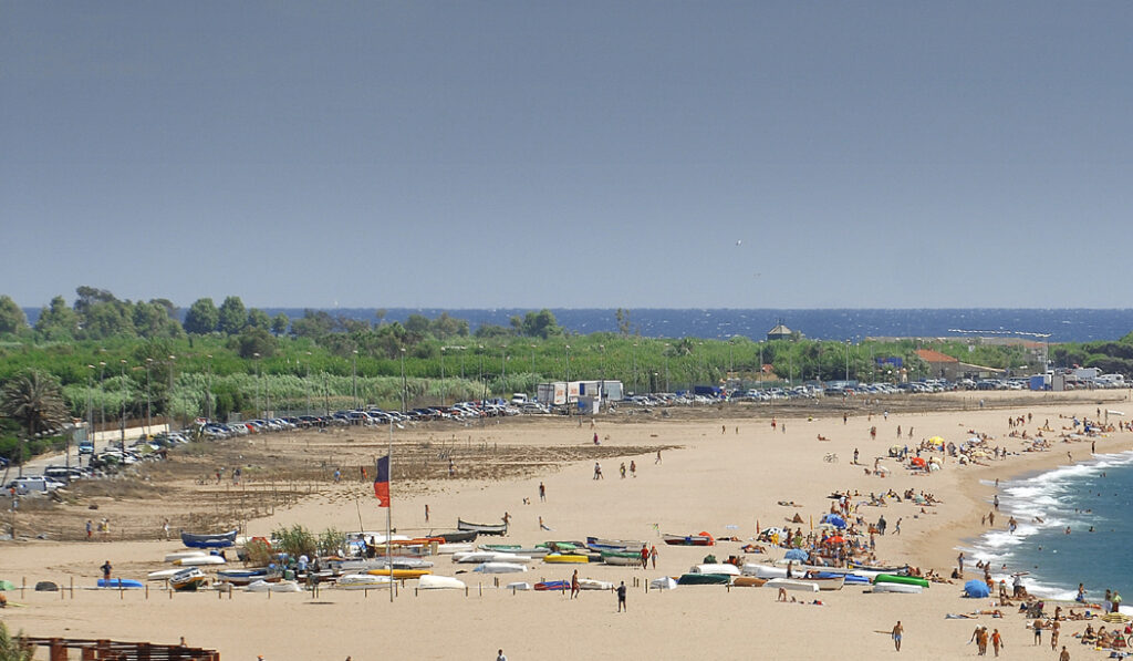 Playas Pet Friendly En Catalu a 6 Opciones Para Ir Con Tu Perro Y playas-pet-friendly-en-catalu-a-6-opciones-para-ir-con-tu-perro-y