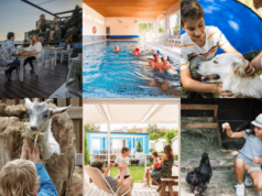 Els articles que més us han agradat el 2024