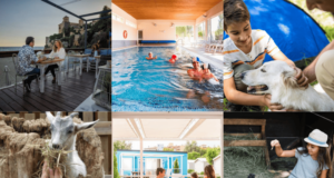 Els articles que més us han agradat el 2024