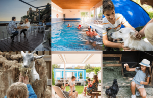 Els articles que més us han agradat el 2024