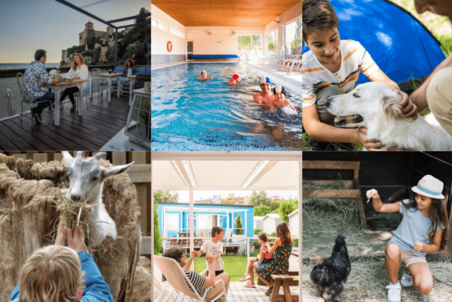 Portada Top Blogs 2024 Campingscat