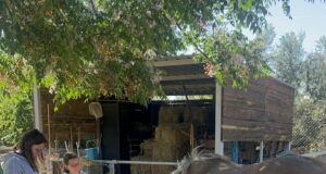 Blog Trip 2025: Escapada al EcoCamp Vinyols amb Viatjant Junts Pel Mon