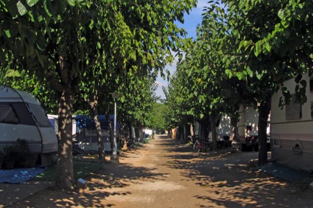 16079674656625509145113021543