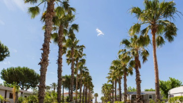 Noves parcel·les autocaravana Estival Vendrell Platja novetats càmping 2026