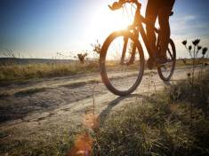 Mountain Biking Routes