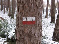 Rutas de gran recorrido