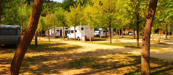Camping El Vedado