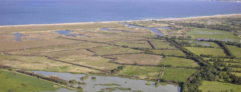 Aiguamolls de L'Empordá Natural Park