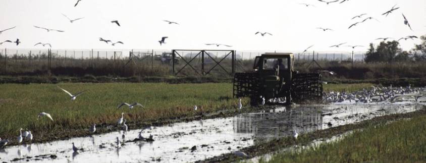 Parc Natural Delta de l'Ebre