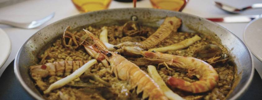 Parc Natural Delta de l'Ebre