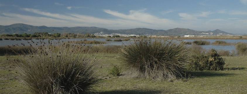 Delta del Llobregat Natural Park