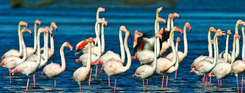 Ruta por la cultura de Cataluña