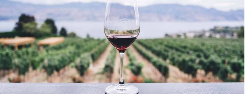 Catalogne, terre de vin